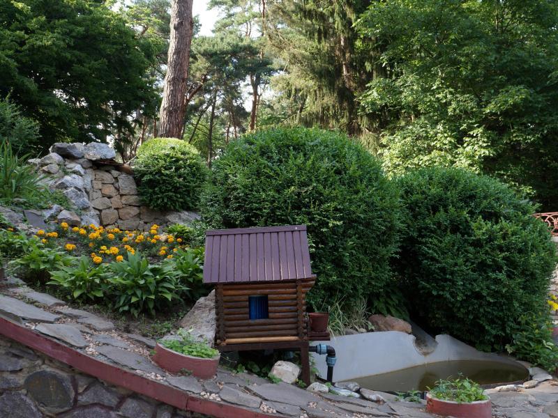 Лечение детей в Профсоюзном санатории «Хмельник»