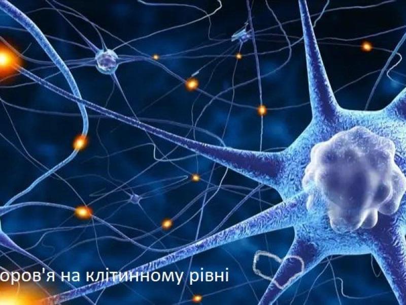 Комплексне лікування хворих на цукровий діабет в Профспілковому санаторії «Хмільник»